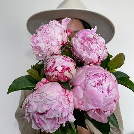 Image Slider