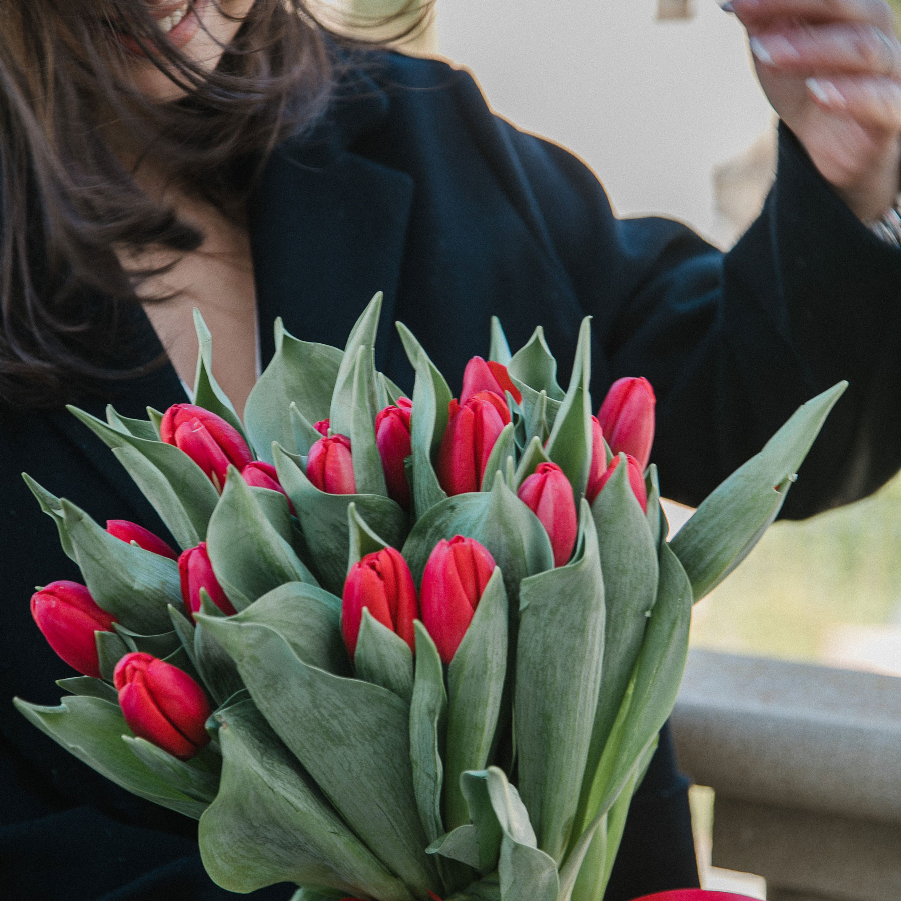 tulips